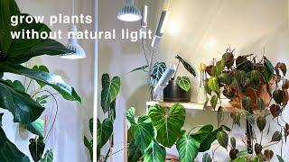 My houseplant grow lights and set up  no natural light [upl. by Messere451]