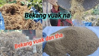 Bekang vuak na alo van hrehawm reuh ve aw [upl. by Nalloh478]