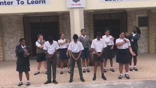 Ferndale Primary School standasone standtogether gobokke rwc2019 [upl. by Marquardt]