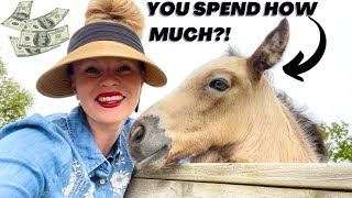 THIS IS HOW MUCH IT COSTS TO RUN A HORSE FARM ALL MY EXPENSES [upl. by Fennie]