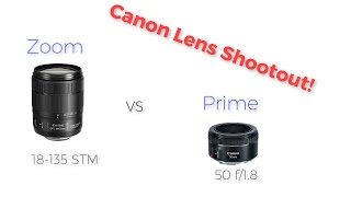 Canon Lens Test 50mm f18 vs 18135mm STM [upl. by Eillod320]