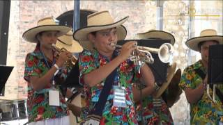 Banda Fiestera y Tradicional de la Palma Fiesta de Negritos [upl. by Campy]