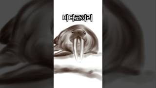 바다코끼리 procreate 프로크리에이트 ipad 아이패드 소묘 그림 인물 드로잉 동물 인물스케치 드로잉 제품 자동차 릴스 fypシ 쇼츠 [upl. by Aslin]