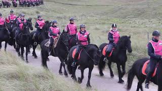 Strandrit Friese Paarden Julianadorp aan zee 2019 [upl. by Attenauqa615]