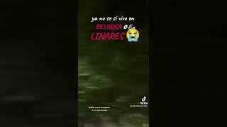 Ya no se si vivo en REYNOSA o en Linares 😭😭 shortvideo noticia linares [upl. by Arytas223]