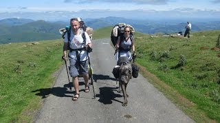 De Saint JeanPiedePort a Roncesvalles  Roncevaux  Camino de Santiago HD 4244 [upl. by Any23]