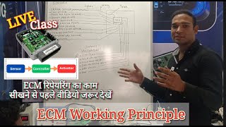 Working of ECM amp SENSOR ECM repair Training Explain in Simple Way How ECM Sensor amp Actuator work [upl. by Allenrac155]