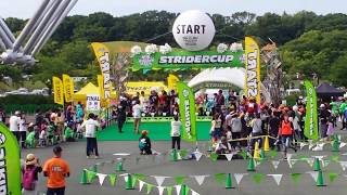 STRIDER CUP 2016 大阪ラウンド3歳amp56歳決勝 [upl. by Ahseek]