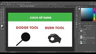 Bài 10 Cách sử dụng công cụ Dodge tool Burn tool và Sponge tool trong Photoshop [upl. by Nehepts]