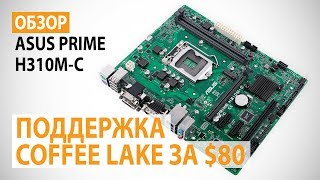 Обзор материнской платы ASUS PRIME H310MC на Intel H310 поддержка Intel Coffee Lake за недорого [upl. by Ailene]