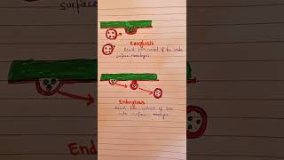 Endocytosis and exocytosisClass 11 biologyClass 9 biology [upl. by Ijok]