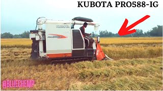 Kubota Pro588ig combine harvester I Mini combine harvester I Kubota harvester I Kubota pro588 [upl. by Devland]