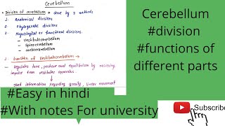 Cerebellumdivision of cerebellum functions of cerebellumfunctions of corticerebellum [upl. by Hunley947]