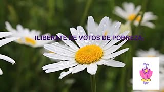 ¡SUBLIMINAL PARA LIBERARSE DE LOS VOTOS DE POBREZA MIENTRAS DUERMES [upl. by Natek319]