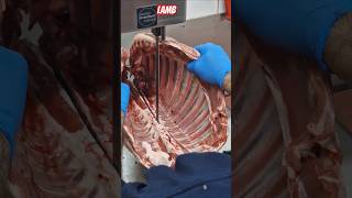 lamb everfreshbutchers lamb foodie food meat foryou mrbutcher1 short halal viral fyp [upl. by Itsa]