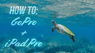 HowTo Editing GoPro video on iPad Pro with LumaFusion and Affinity Photo LUTs SEA TURTLES [upl. by Cicily]