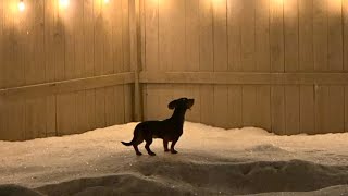 Footprints in the Snow  Short Film [upl. by Benedicto701]