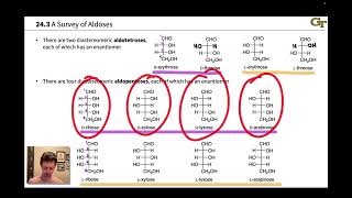 A Survey of Aldoses and Ketoses [upl. by Ardnusal]