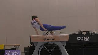 Stephen Nedoroscik  Pommel Horse  2024 Winter Cup  Men Day 2 [upl. by Nimad]