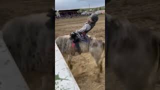 Unbelievable Bullfight Finish – [upl. by Aserehtairam]