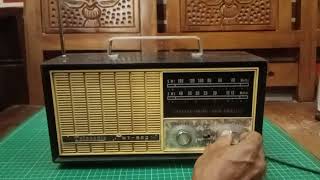 RADIO TELESONIC NT 802 [upl. by Ycram]