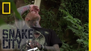 Wheres the Mamba  Episode 4  Deadliest Snake Encounters [upl. by Dahs]