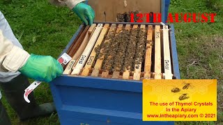 Bee colony Thymol crystal application [upl. by Dyoll597]