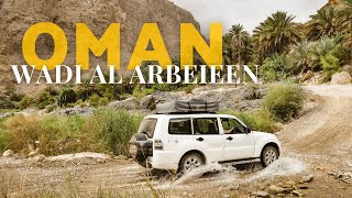 OMAN 🇴🇲 Turbulenter Start Regen Einkauf in Maskat und das Wadi Al Arbeieen  Rundreise Tag 2 [upl. by Yklam]