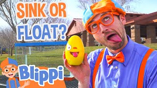 Blippi Plays Sink or Float in a Playground  Blippi Full Episodes  Science Videos for Kids [upl. by Ardnahcal235]