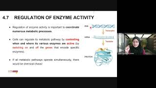 BIO091 Week 8  Chapter 4 Enzymes Part 2 [upl. by Johnnie]