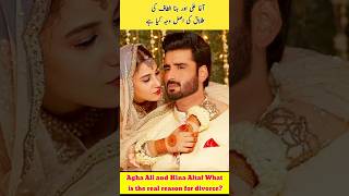 Agha Ali and Hina Altaf Reason Of Divorce shortvideo shorts youtubeshort hinaaltaf [upl. by Blanding190]