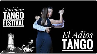 El Adios Tango by Michael El Gato Nadtochi amp Elvira Lambo [upl. by Mccreary327]