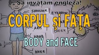 Sa invatam engleza  CORP şi FAŢĂ  Body and Face  Lets learn English [upl. by Ylrrad]