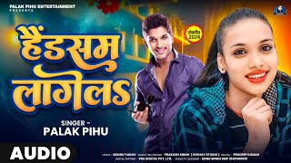 virel song  हैंडसम लागेल  palak pihu  Handsome lagela  पलक पीहू bhojpuri song 2024 [upl. by Hymen420]