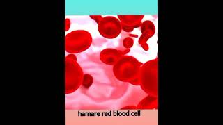 Human Cells Facts 😯 shortvideos shortsviral shorts viral facts amazing interestingfacts feed [upl. by Donaugh]