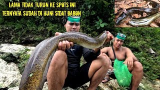 SPEARFISHING alhamdulilah akhirnya strike ikan sidat babon lagi [upl. by Tahmosh]