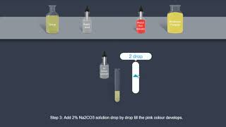 Urea  Urease test [upl. by Zusman787]