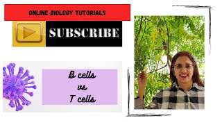 B cells vs T cells I Human health and disease I Chapter 8 I Class 12 [upl. by Nylakcaj]