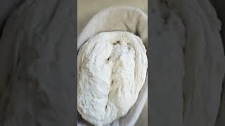 Sourdough bread jiggle [upl. by Jocelyne498]