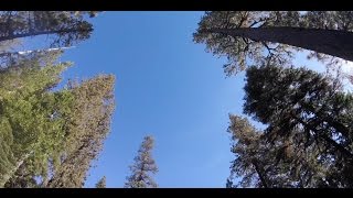 Best Camping Spot Tahoe National Forest Vlog38 [upl. by Mazel]