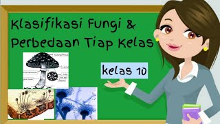 Materi Biologi Klasifikasi Fungi Atau Jamur Kelas 10 [upl. by Ariajaj]