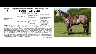 Pitzer Ranch Fall Sale 2024 TYREE TWO GUNS [upl. by Barimah581]