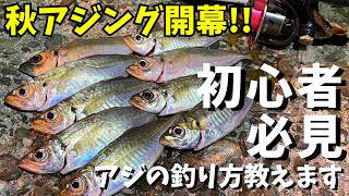 秋のアジング開幕！アジを釣りたい人必見！アジングのルアーアクション、狙い方を解説します [upl. by Ittocs]