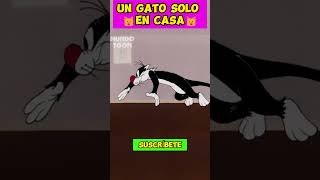 UN GATO SOLO EN CASA🐱🐱 looneytunes looneytunesunmundodelocos humor [upl. by Evilo]