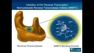 NNRTI Resistance 2015 [upl. by Nanerb]