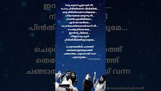 Oru koodanna pooveki nee song lyrics twocountriesmoviesong malayalamsonglyrics Chenthenginsong [upl. by Peggir]