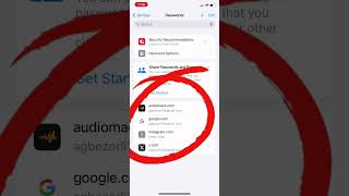 How To See Saved Passwords On IPhone XR [upl. by Cozza574]
