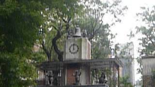 Carillon Zoo CentralPark [upl. by Adelbert]