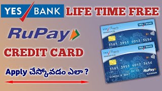 BREAKING Yes Bank Credit Cards New Range Launched  Existing Customers ko 100 Milega 🔥🔥 [upl. by Gothard]