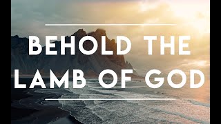 Behold the Lamb of God  Stephen Miller  Lyric Video [upl. by Orteip494]